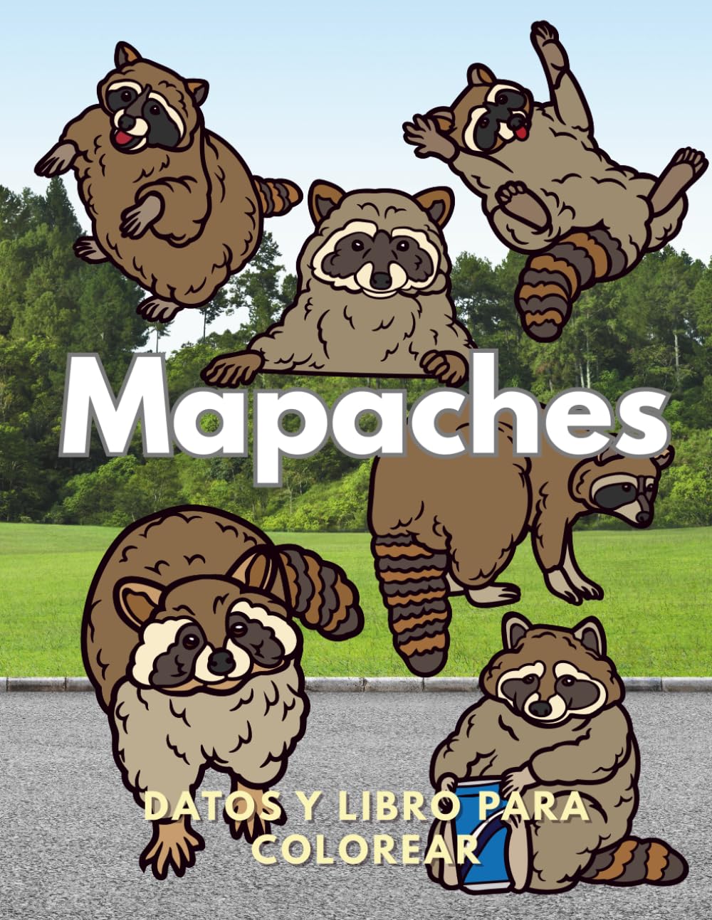 Mapaches: Datos y libro para colorear: Libro de actividades para niños de 2 a 16 años