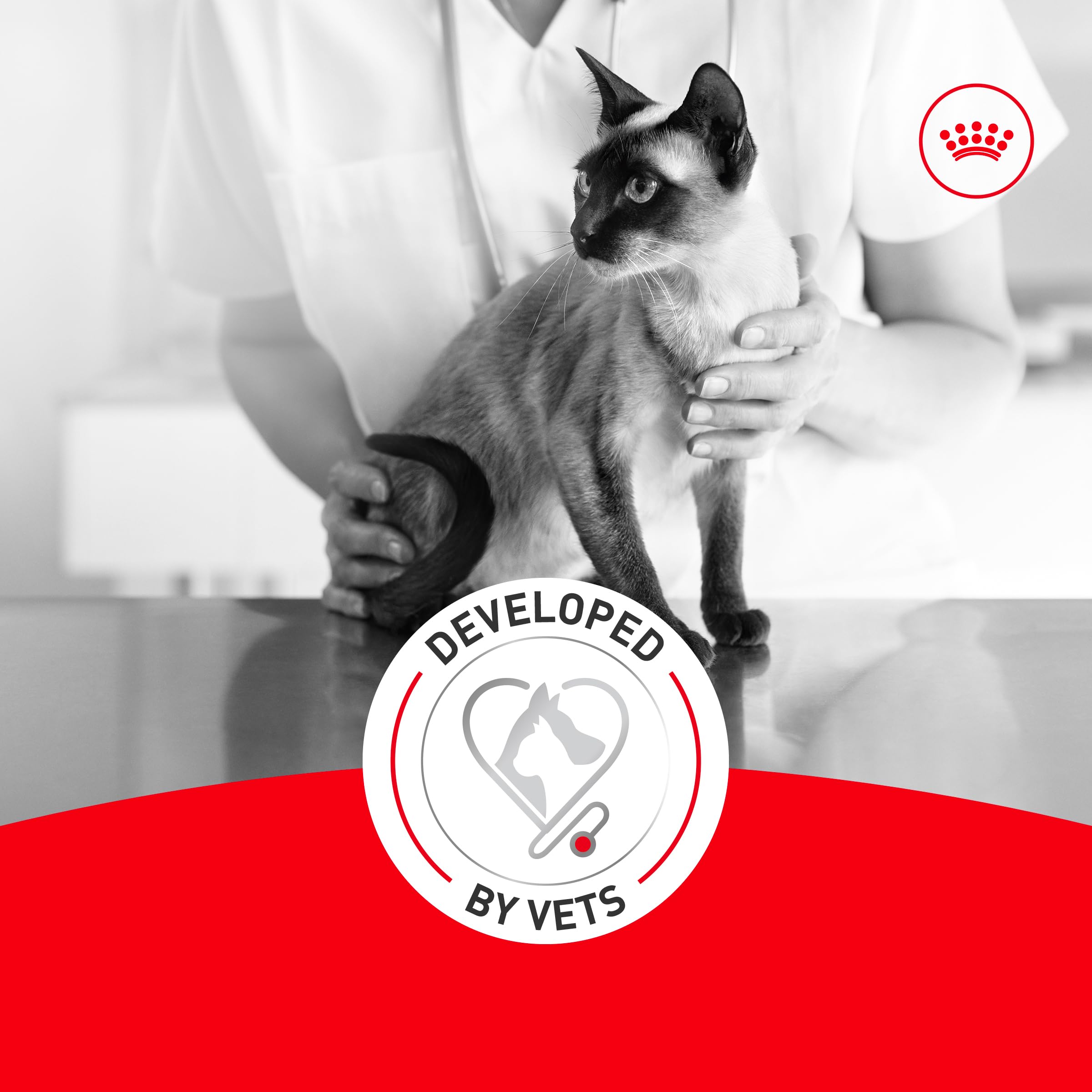 Royal Canin Fussy Katzenfutter trocken für ausgewachsene Katzen, Eiweißreiche Trockenfutter für wählerische Esser, Geflügelbasis, Unterstützt gesundes Gewicht und Harngesundheit, 3,2 kg Beutel