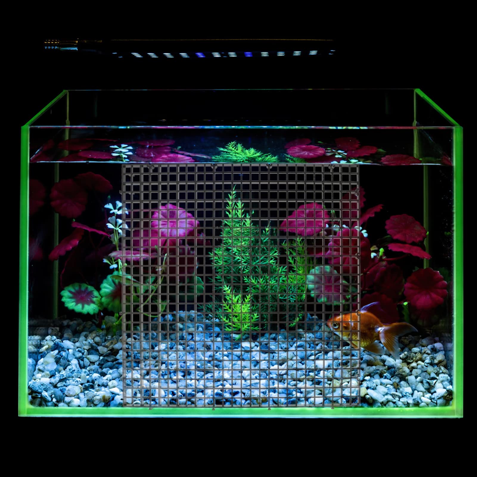 POPETPOP Trennwand Für Aquarien Beckenteiler Aquariengitter Filterkörbe Bodentrennnetz Aus Kunststoff Filterwanne Für Aquarien Bodenfilterplatte