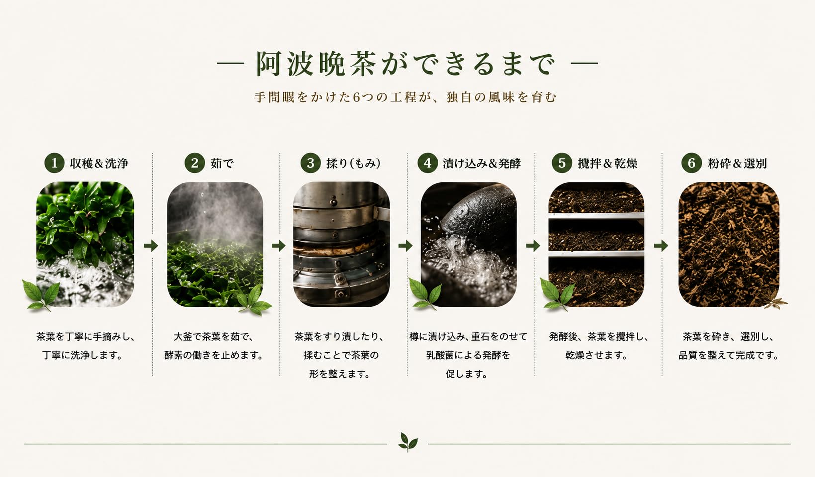 Amazon.co.jp: 阿波晩茶 オートファジーティー, 100%天然茶葉使用