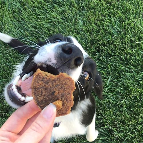 Miniatura 5 de Bark & Harvest SuperFood Burgers - Hamburguesas de 2.5 pulgadas - Golosinas masticables tiernas ricas en proteínas para perros, fabricadas en los