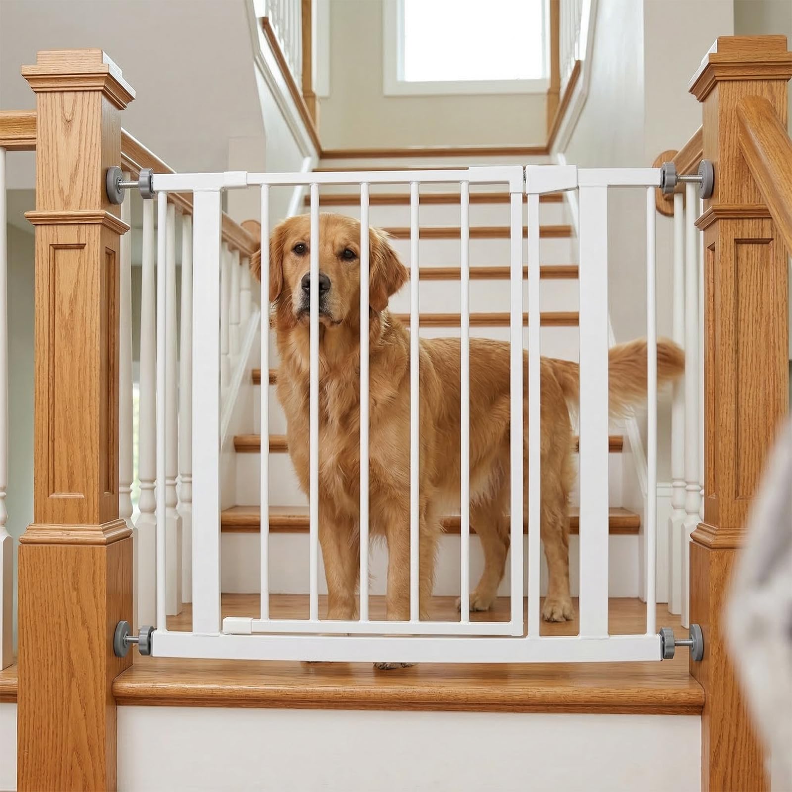 8 pernos de presión para puertas de seguridad para bebés - Varilla roscada para puertas de seguridad para mascotas - Pieza de repuesto de perno roscado M10 para barandillas de y protectores