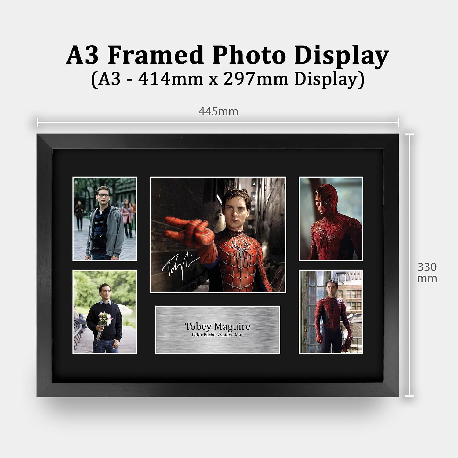 HWC Trading Tobey Maguire Spider-Man Gifts Printed Signed Autograph Picture Display for Movie Memorabilia Fans - 16" x 12" Framed