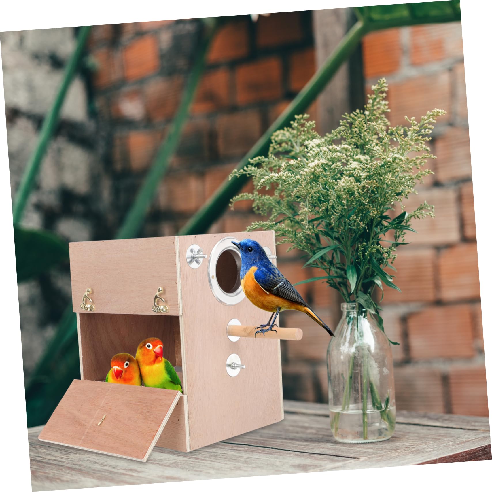 DOITOOL Caja Nido De Hábitat De Loros Loro Dormir Casa Ventana Casas De Pájaros para Nido De Periquitos Cabaña para Dormir Periquito Loro Suministros De Madera Vertical