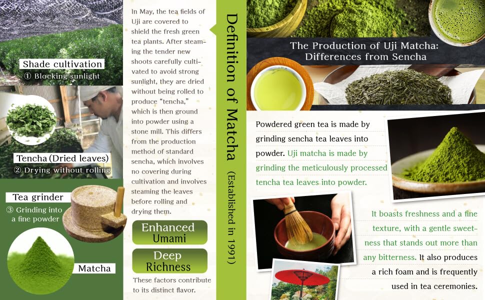 Té Verde Matcha en Polvo Japonés Uji Grado Culinario miniatura 4