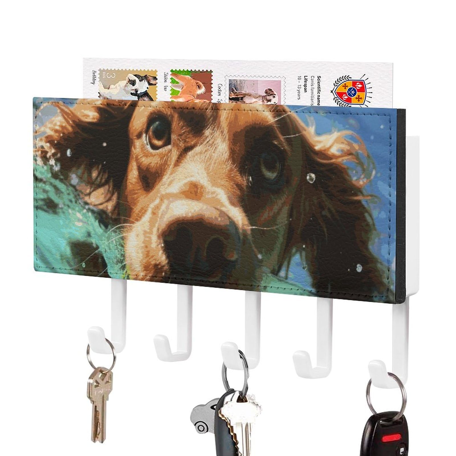 Porte-clés mural amusant chien nageur avec 5 crochets déco d'entrée en métal compact 18 cm