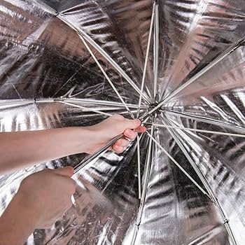 Amazon.com : Westcott Apollo Orb Octabox with Grid (43