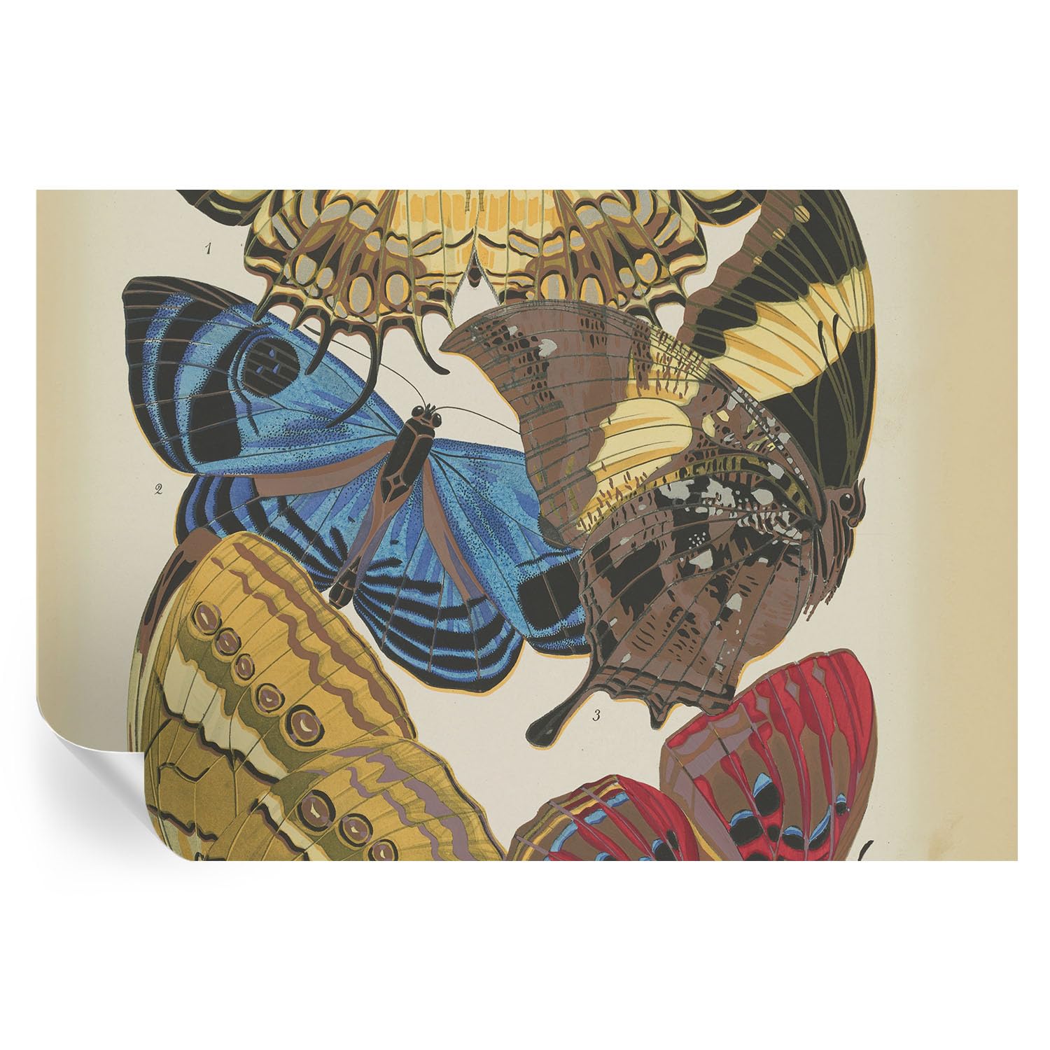 Cubiertas y vinilos decorativos 152x104 cm con estampados de mariposas para hogar