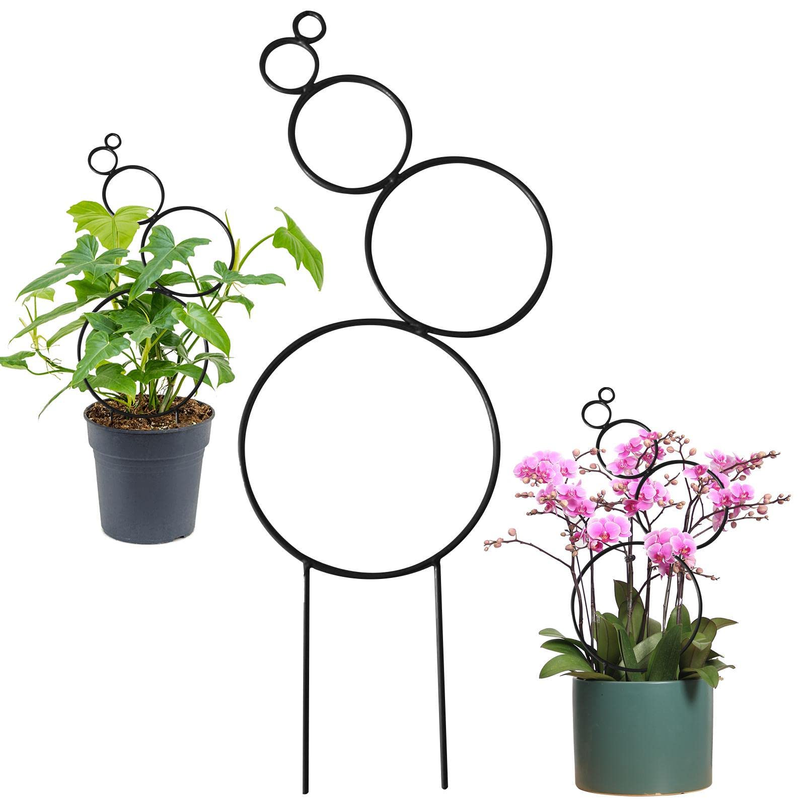 Hoya - Set di tralicci di 3 dimensioni per piante da interno, supporto per fiori, rotondi o a forma di cuore, in metallo, accessori da giardino per piccole piante rampicanti (nero