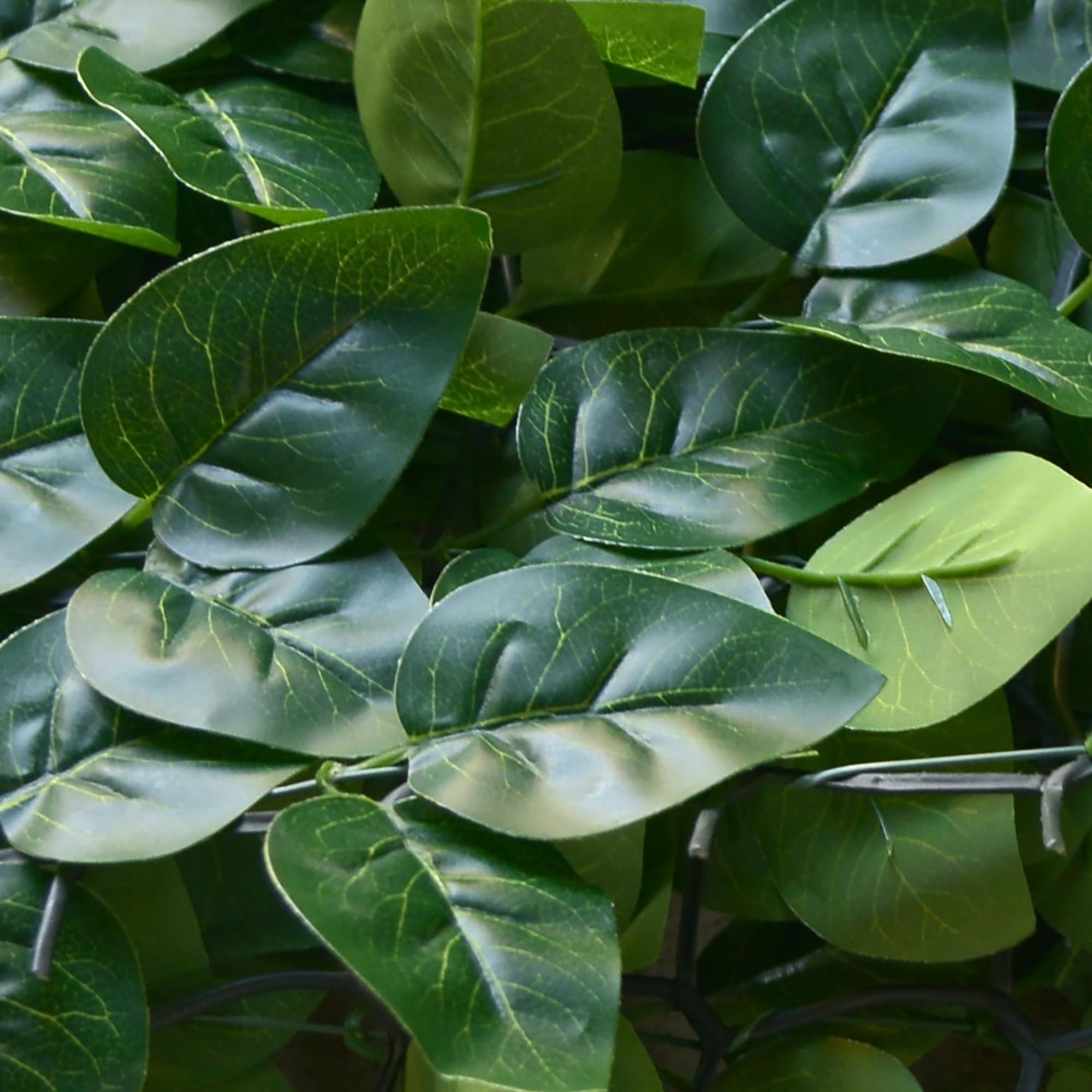 TENAX Divy Laurus PRO 100x300 cm Verde, Siepe Sintetica con Foglie in Polietilene Tipo Lauro per la Schermatura Frangivista di Balconi, Giardini e Recinzioni