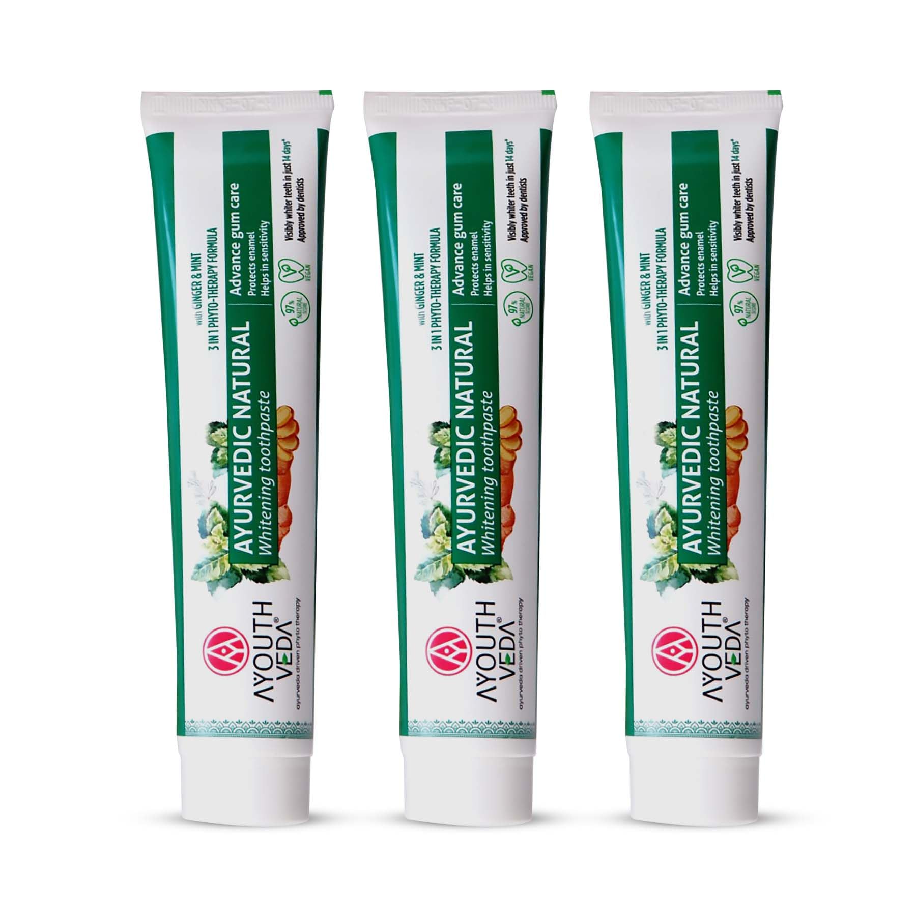 Ayouthveda Ayurvedic Natural Whitening Toothpaste | Plant-Based Formula with Ginger, Mint, Papaya & Pomegranate | Plaque & Tartar Control | Gum Comfort, Enamel Care & Fresh Breath | 100g (Pack of 3)