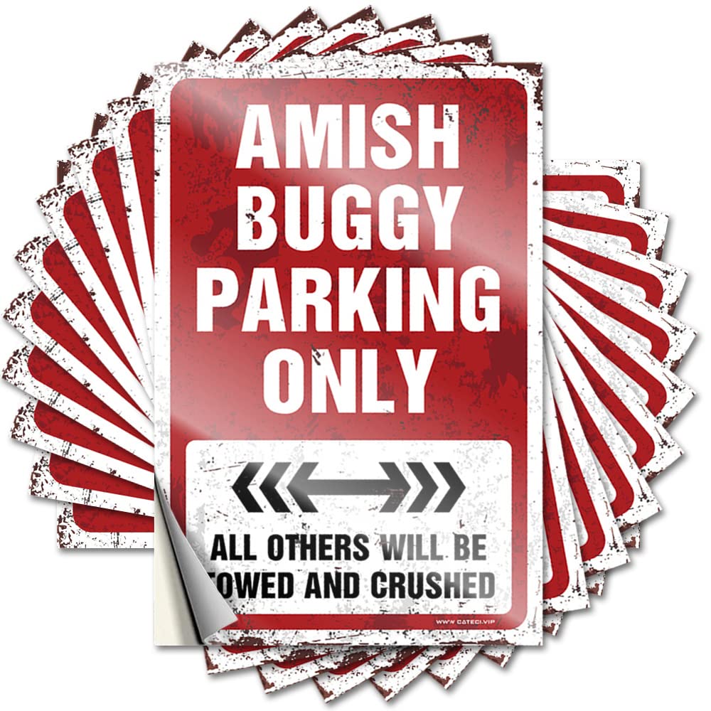 Lettering Sticker Stuff for Men Easy Apply | Amish Buggy Parking Only Assorted Accessories Peel and Stick(12X18CM)
