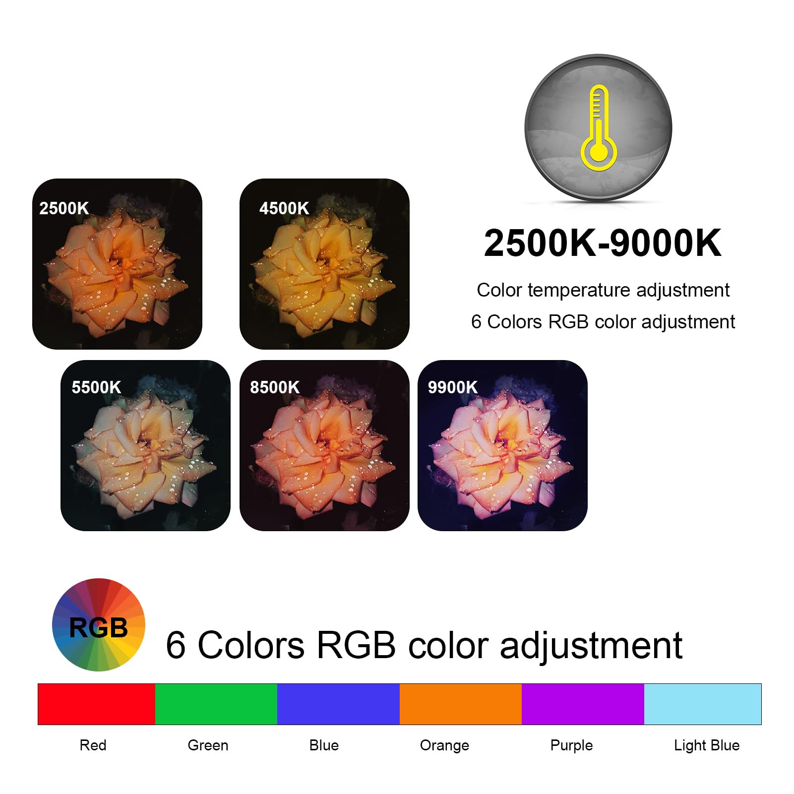 Andoer Luce video a LED RGB, luce per fotocamera, 225 perline LED, luce video, dimmerabile, 2500 K-9900 K, luce di riempimento ricaricabile con supporto per scarpe fredde per smartphone, tablet