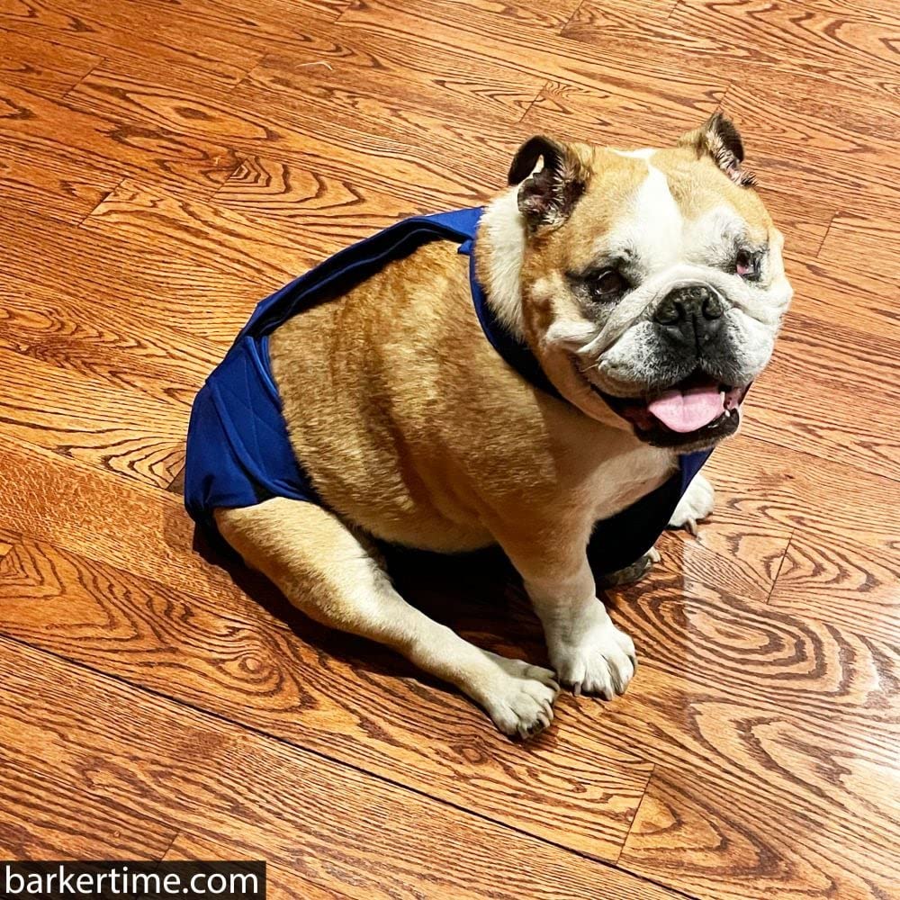 Barkertime Royal Blue Dog Diaper Overall, S, Without Tail Hole - Made in USA