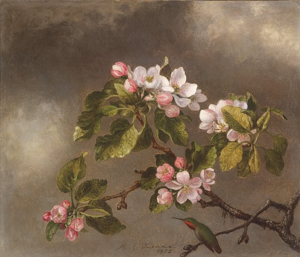 Tableau et fleurs fruitières de Johnson Heade impression d'art murale