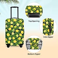 Vista 10 de URBEST Funda protectora para maleta, antiarañazos y suciedad, Otoño de vidrieras