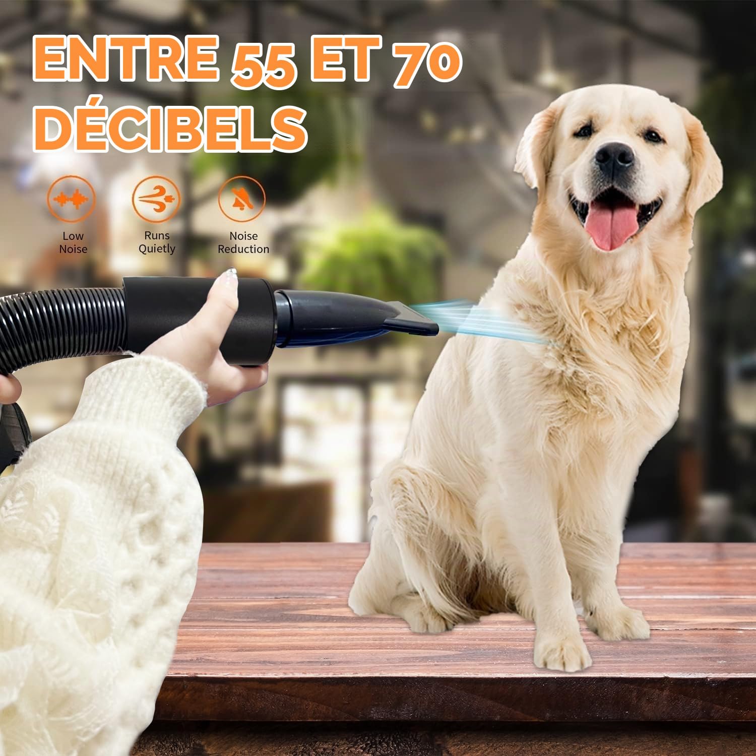 Professionnel Souffleur Chien,3200W Souffleur de Soins pour Chien | Pour Animaux Vitesse Continue et température réglable,5 Buses