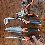 Review Image by Taylor