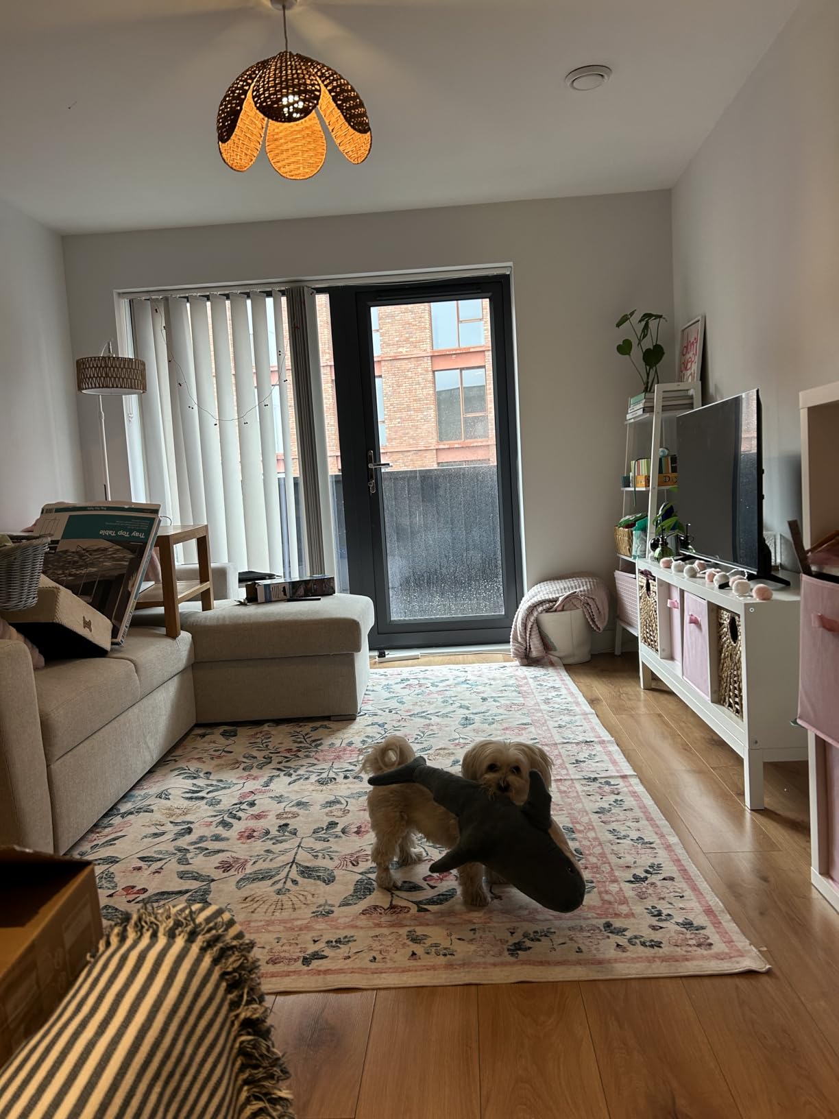 Customer photo