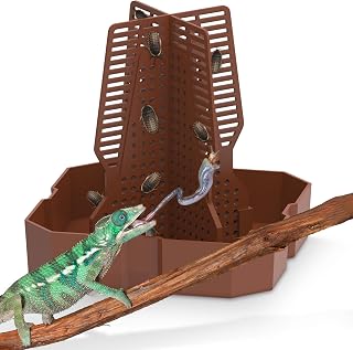 Fischuel Chameleon Feeding Bowl - Climbable Reptile Terrarium Dish for Lizards, Bearded Dragons, Geckos, Frogs | Large Reddish Brown