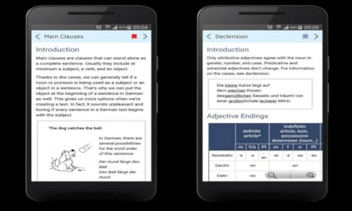German Grammar daily Learning