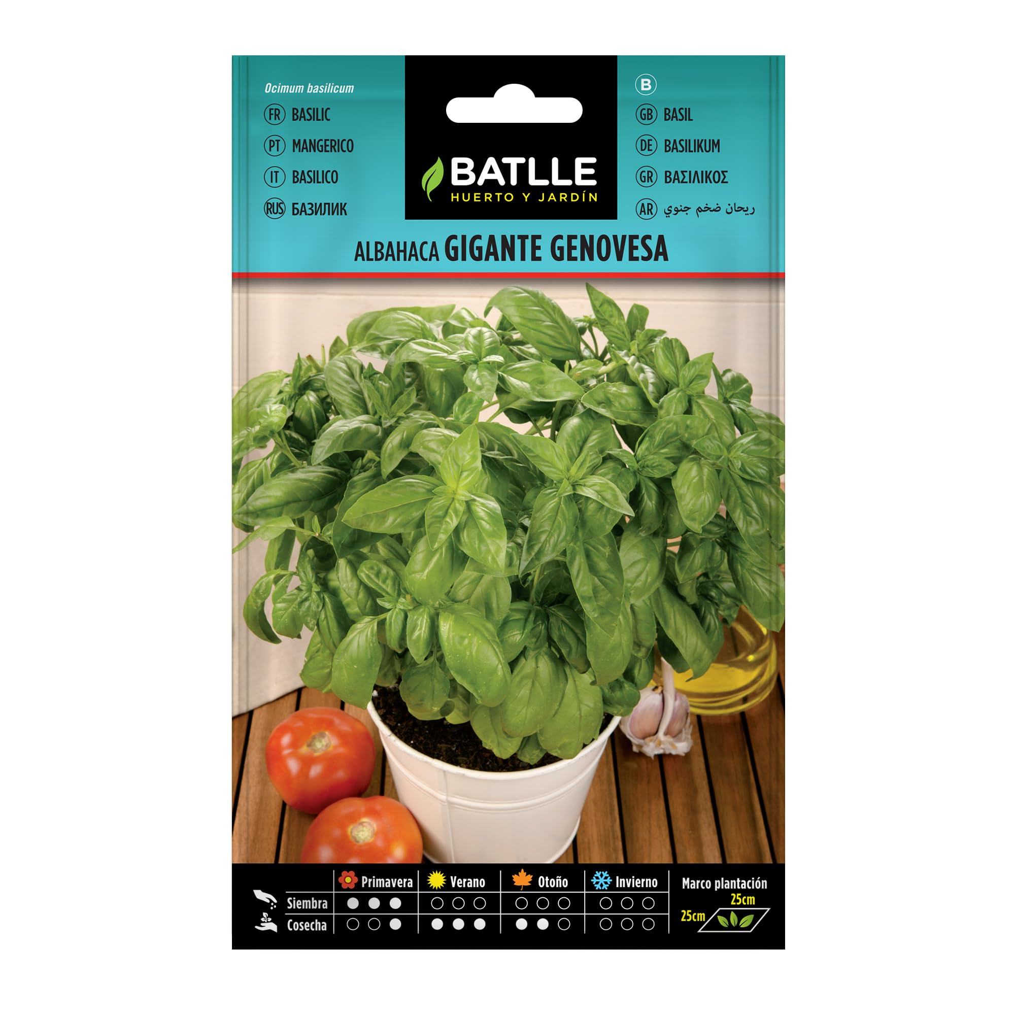 Basilic géant génois Batlle graines aromatiques 4g pour potager