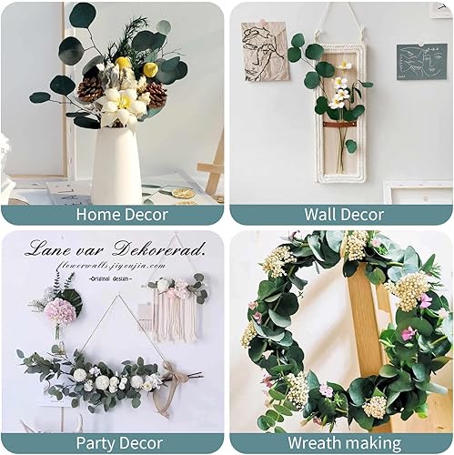 Miniatura 5 de Tallos de eucalipto secos preservados, ramas verdes reales azules, 4-10 hojas de dólar plateadas para relleno de jarrón, planta de guirnalda de