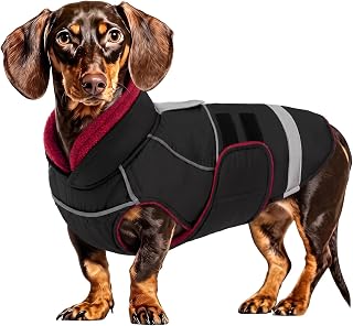 CITÉTOILE Wasserdichter Hundemantel mit Leinenöffnung Schwarz M
