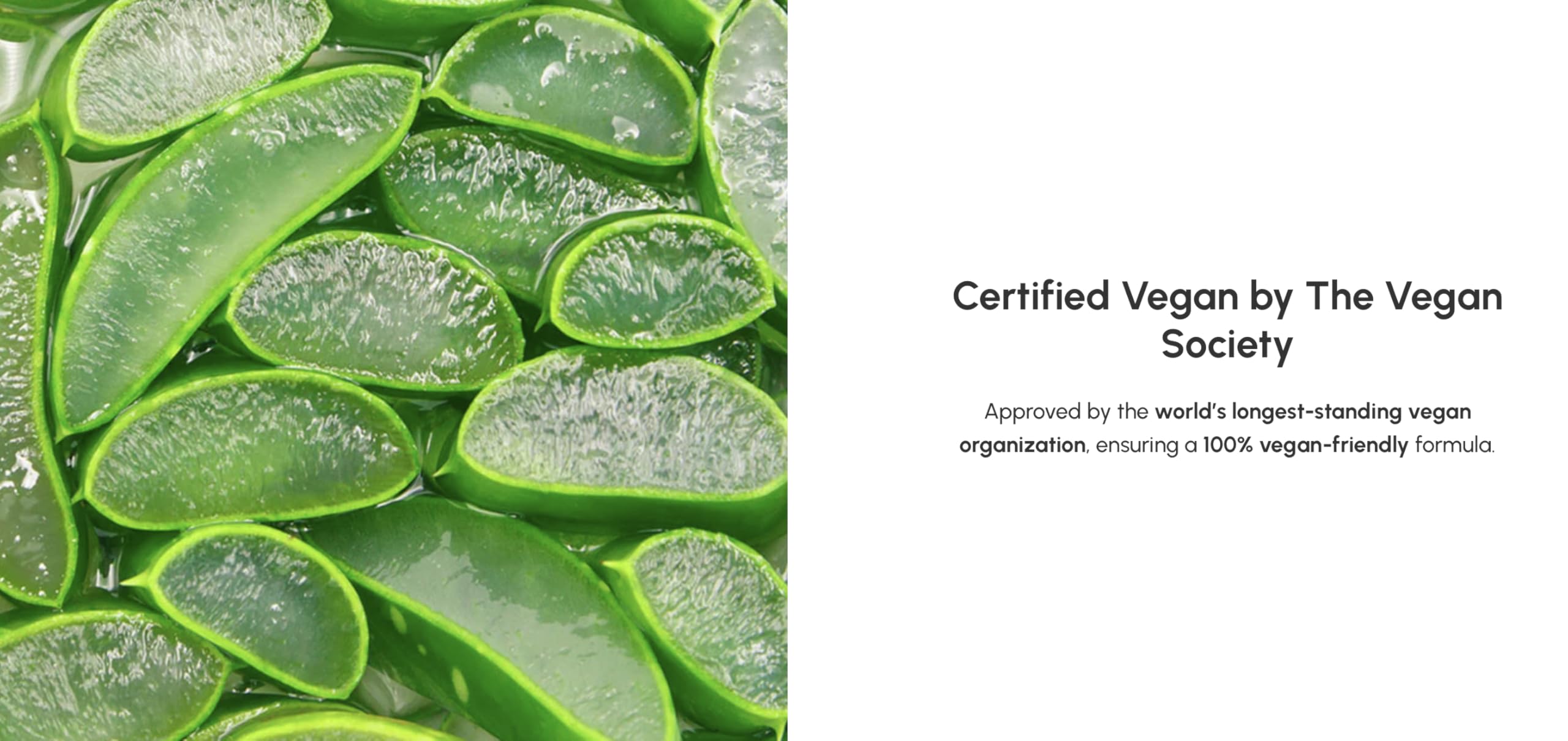 HOLIKAHOLIKA Aloe Clean Water Formula 96% Cleansing Foam (150 ml), 150 ml (Pack of 1) - Image 4