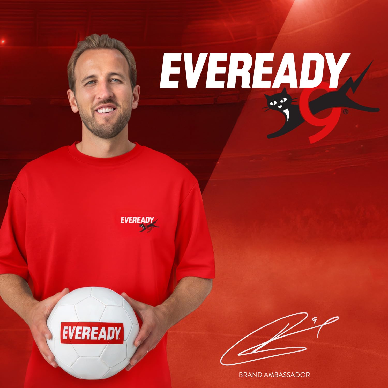 Eveready Gold di Energizer - Pile AA e AAA Combo (Confezione da 80) Batterie Alcaline 1,5V - potenza di lunga durata - 100% imballaggio riciclabile - 10 anni di conservazione