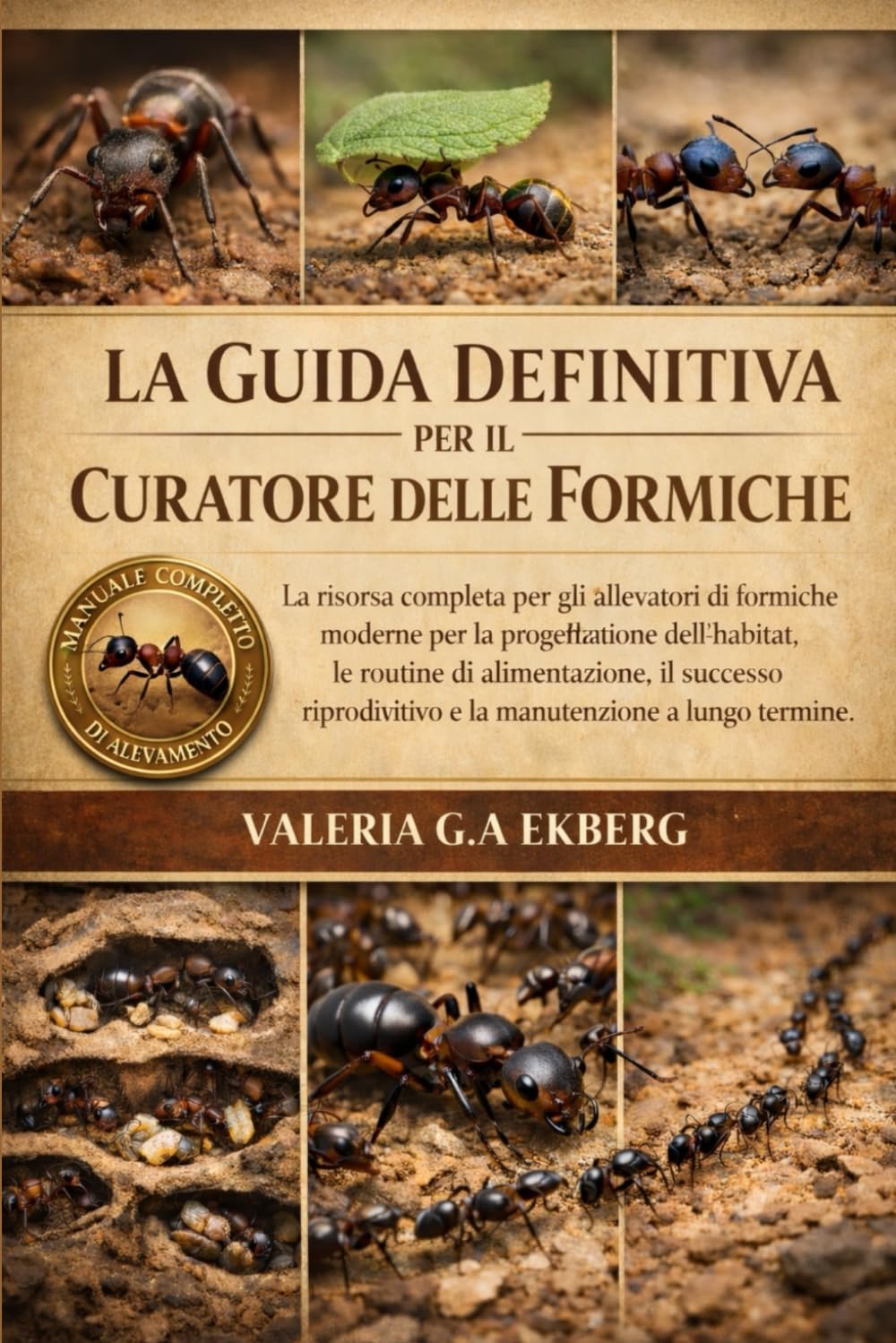 LA GUIDA DEFINITIVA PER IL CURATORE DELLE FORMICHE: La risorsa completa per gli allevatori di formiche moderne per la progettazione dell'habitat, le ... e la manutenzione a lungo termine