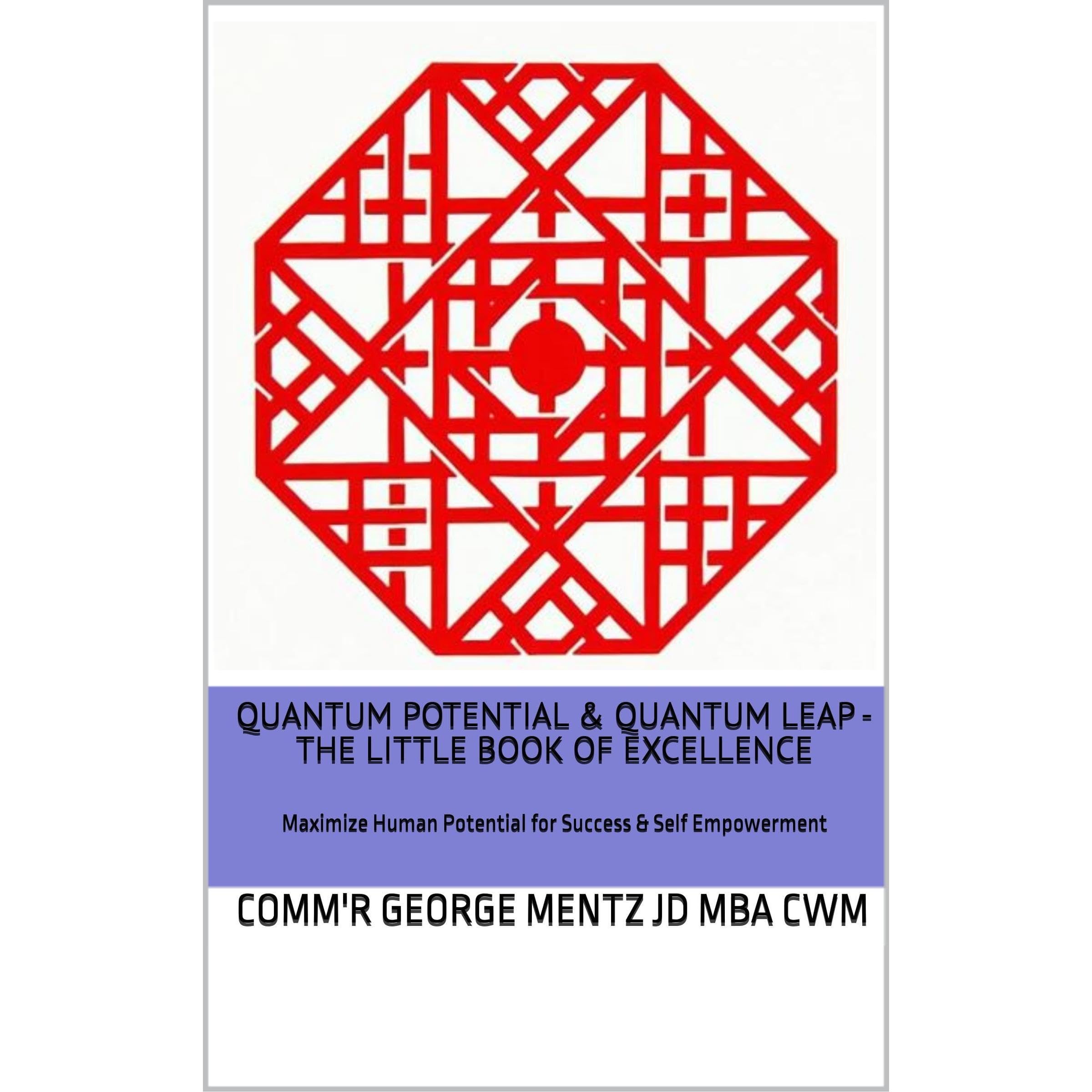 QUANTUM POTENTIAL & QUANTUM LEAP - THE LITTLE BOOK OF EXCELLENCE