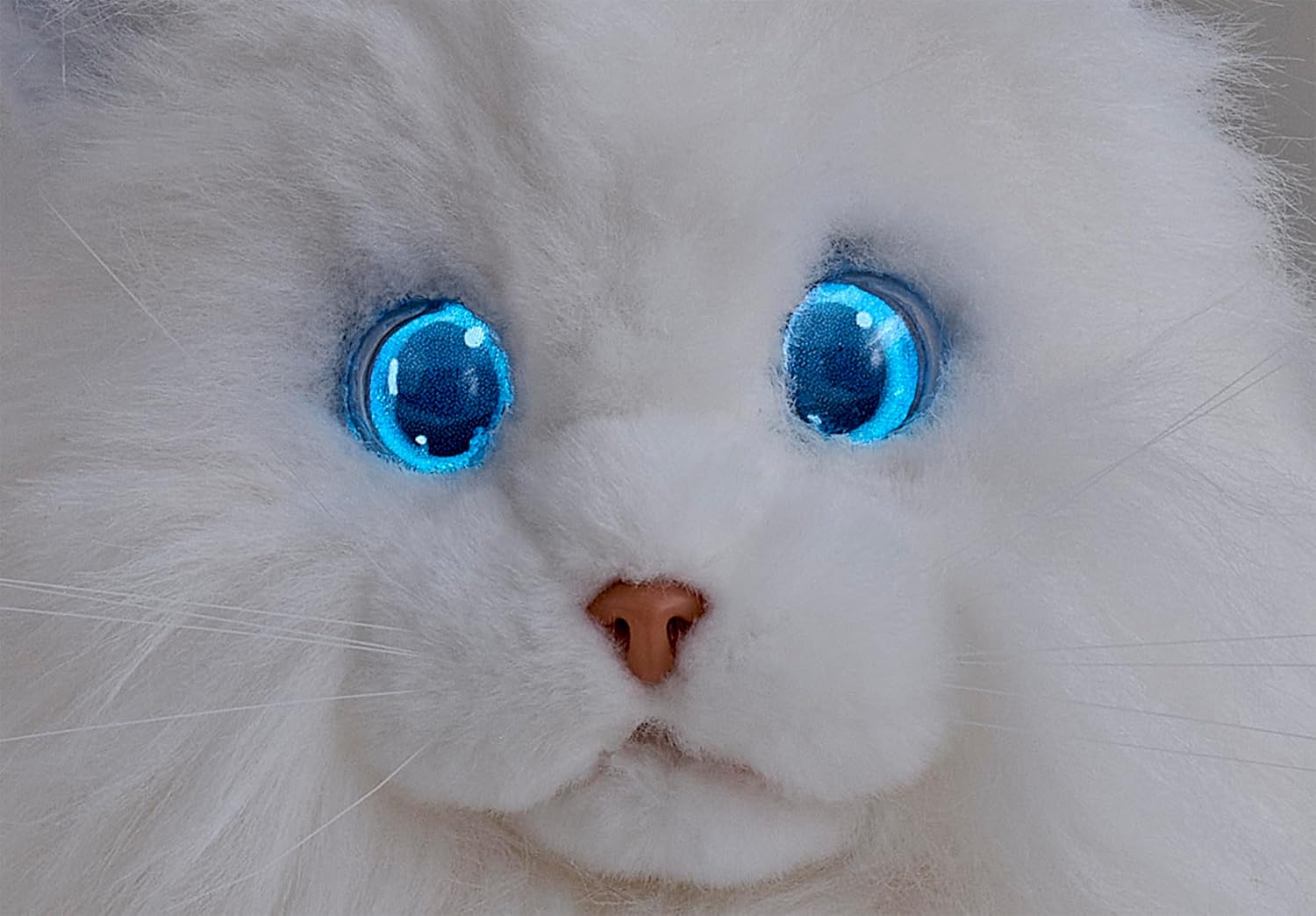 Sega Fave KIMIT Ragdoll (White) Pet Robot Cat