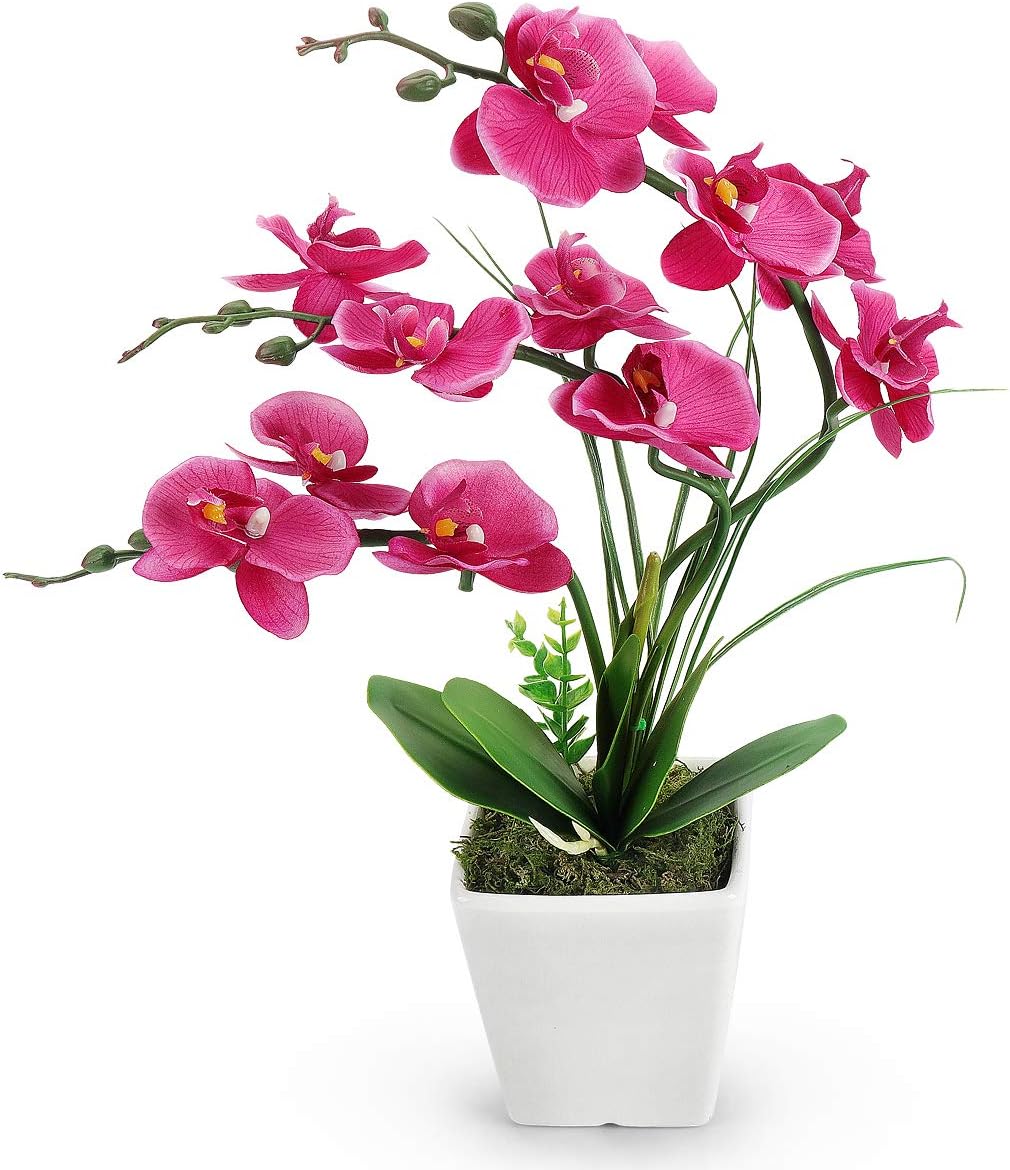 YOBANSA Artificial Phalaenopsis Orchid Flower Bonsai with