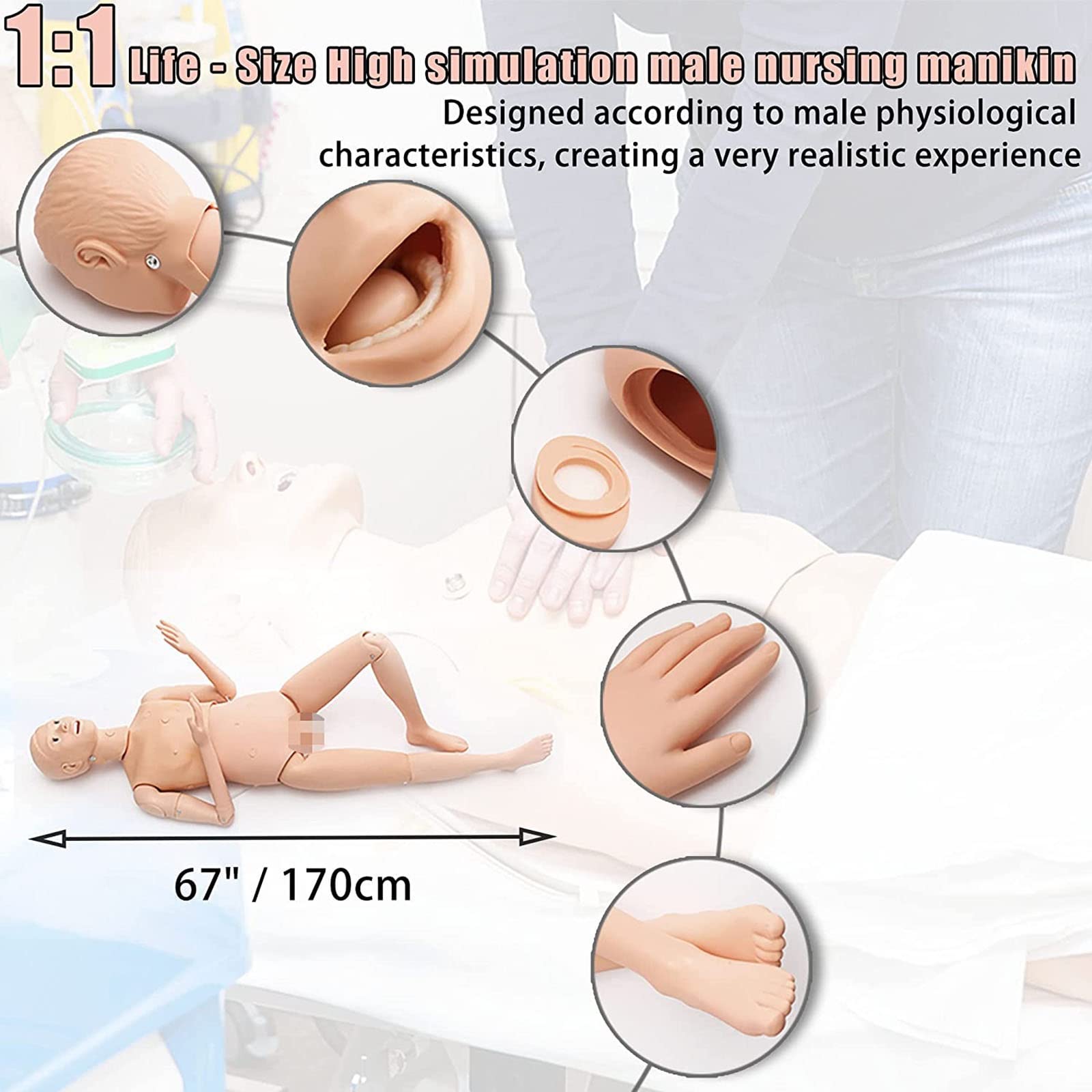 Manekin do treningu pielęgniarskiego, wymienny manekin do opieki nad pacjentem, manekin do treningu pierwszej pomocy, manekin geriatryczny do badań edukacyjnych 67"/170 cm
