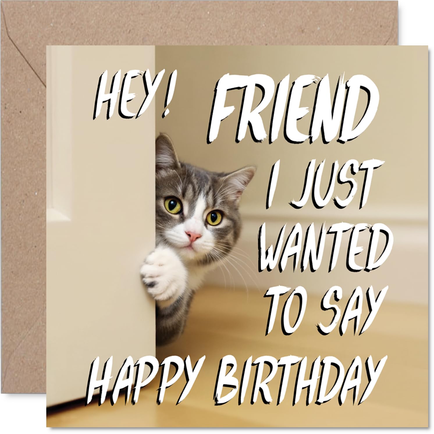 Friend Birthday Card, Cute Cat Peekaboo