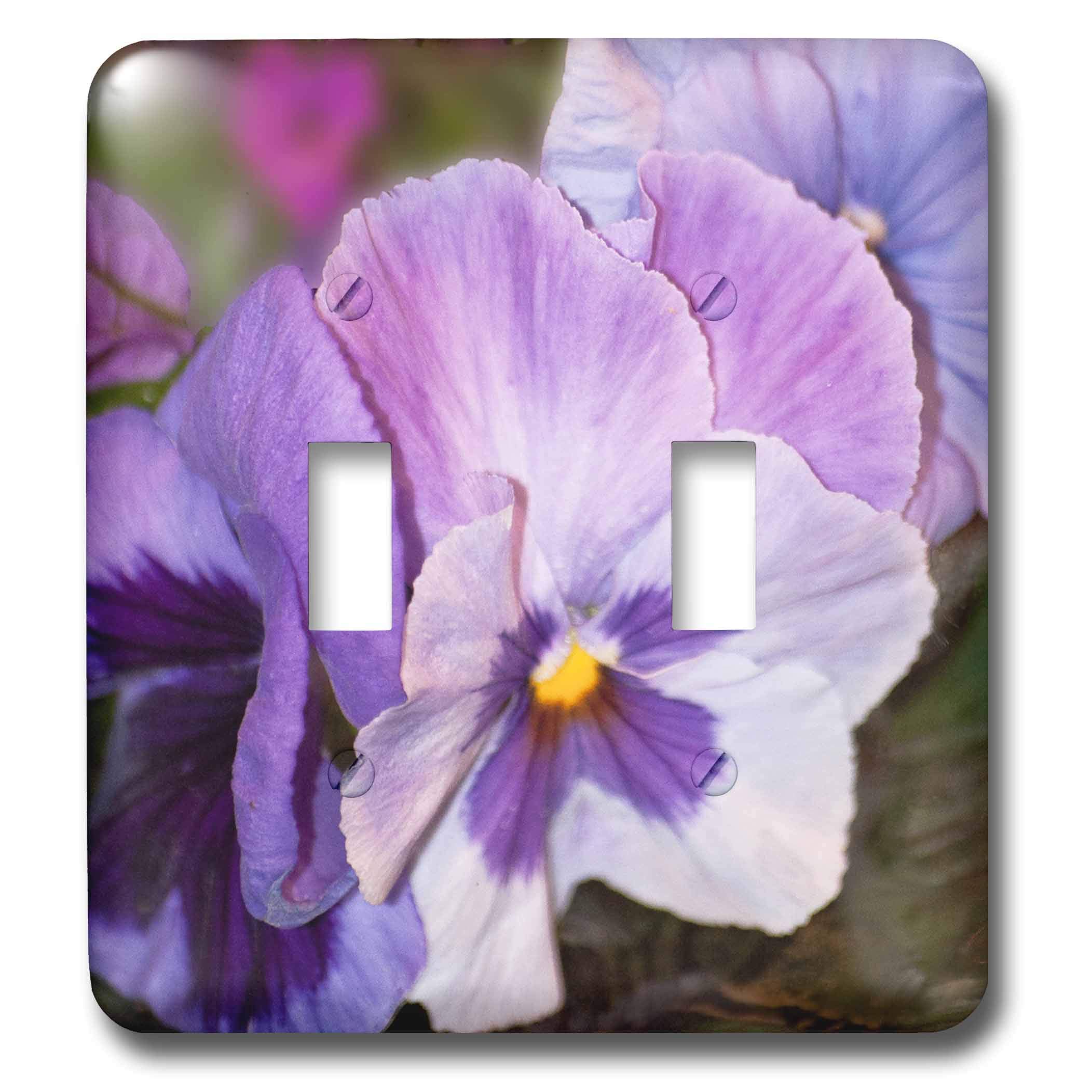 Interrupteur à baïonnette pour remplacer vos plaques de prise ternes