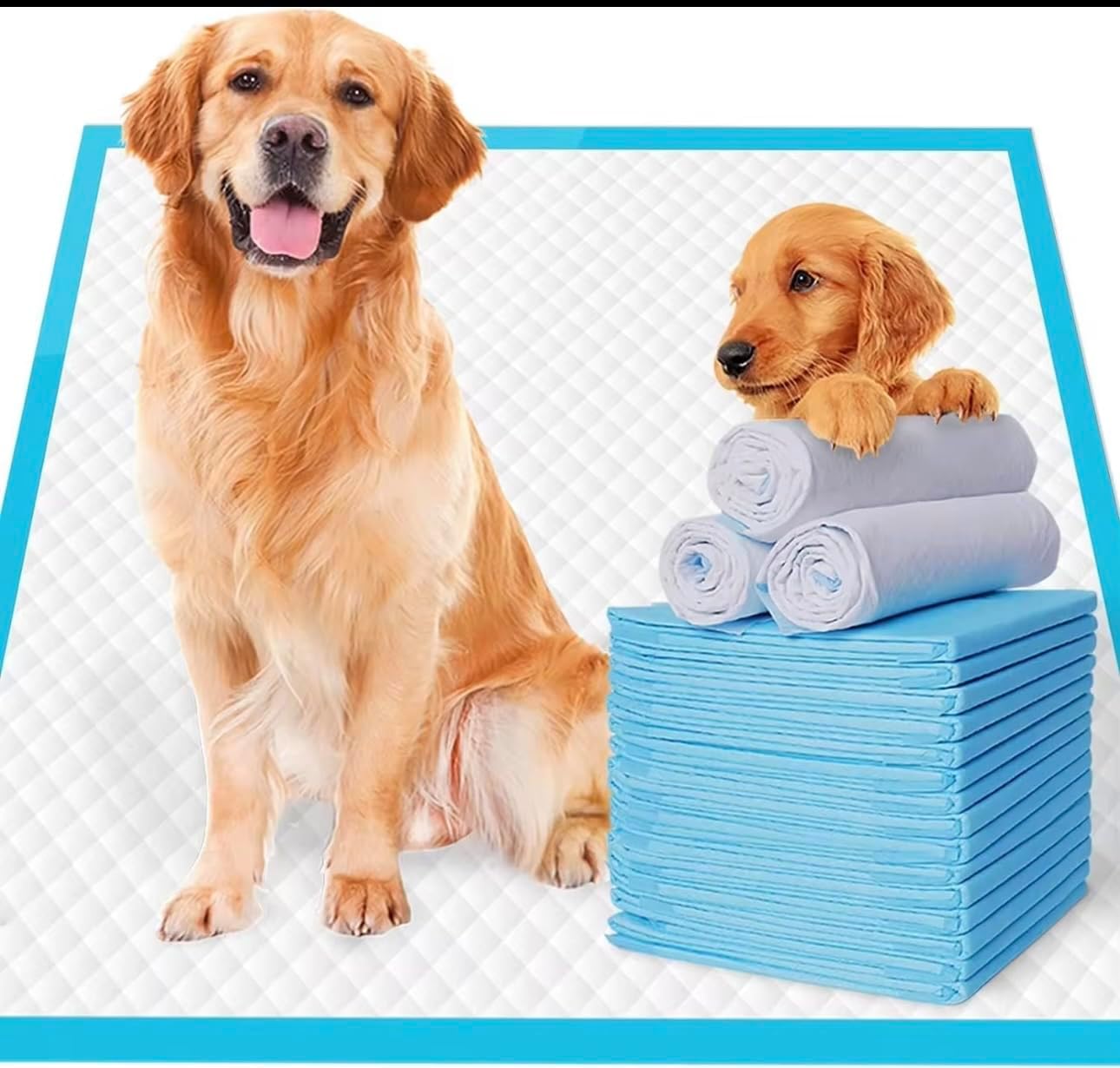 Super-Absorbent Pet Training Pads, Leak-Proof Design, 24-Hour Protection, Thickening Material (Small, 100, 33x45)