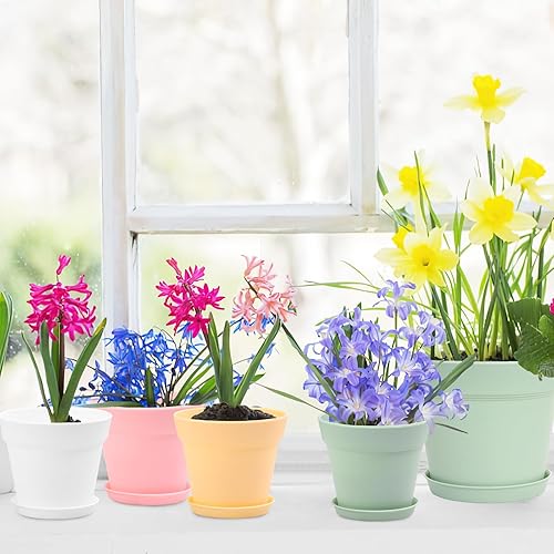 Miniatura 4 de GARDIFE Paquete de 20 macetas de 4 pulgadas, macetas para plantas de interior, macetas, color