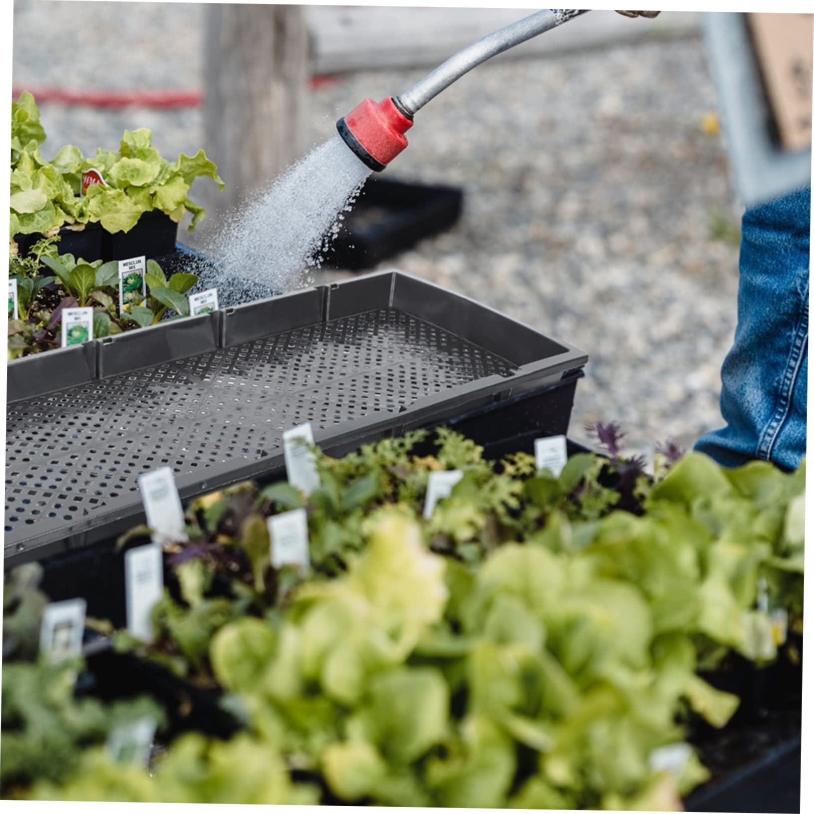 3pièces Plateaux De Germination Plastique pour Semis Trays Multi-cavités pour Hydroponie Et Culture De Pousses Noir