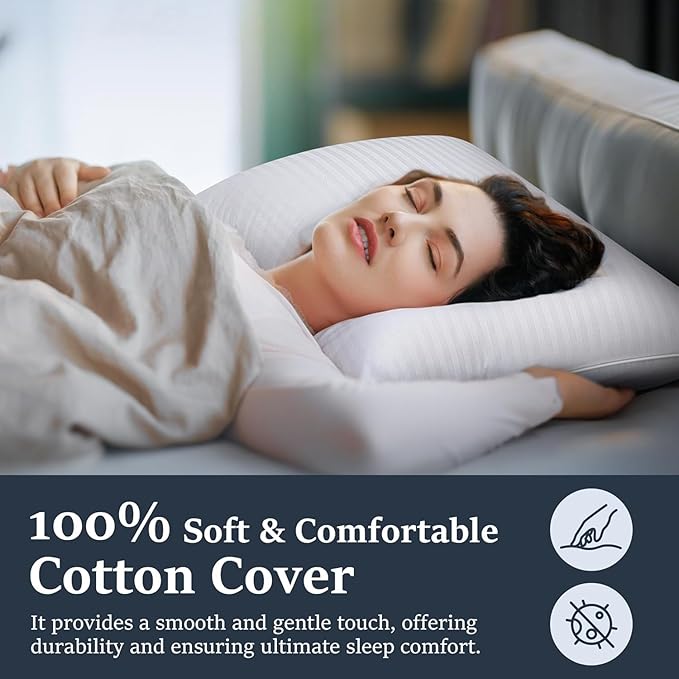 Set 2 Almohadas Pluma de Ganso Queen miniatura 5