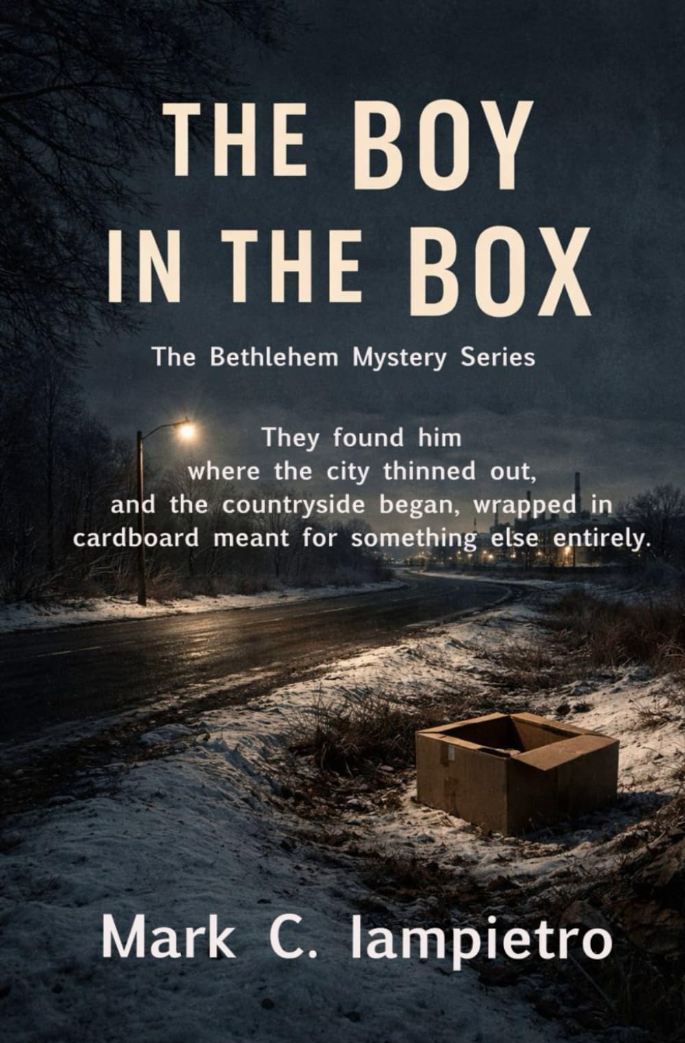 The Boy in the Box (The Bethlehem Mystery Series)