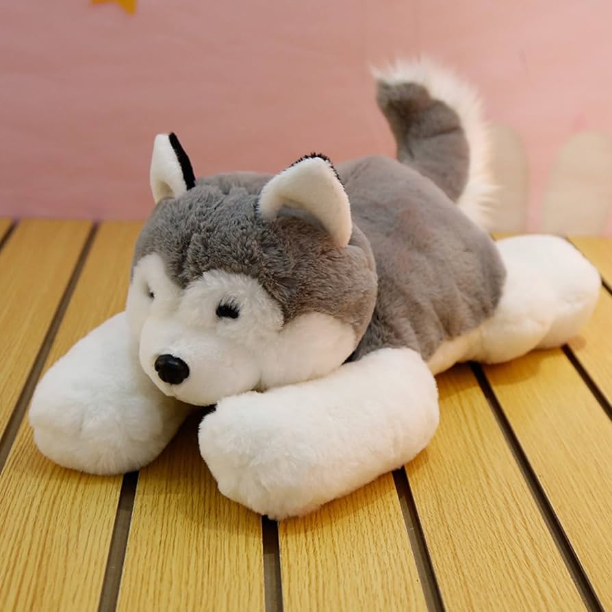 HIROKUN HOUSE ハスキー犬 ぬいぐるみ 特大 Amazon | [ハウスXIN] ハスキーぬいぐるみ クッション 大きい