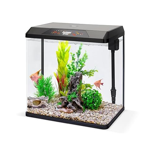 JumblPets Starter Fish Aquarium Kit, 4 Gallon, Complete Beginner Glass