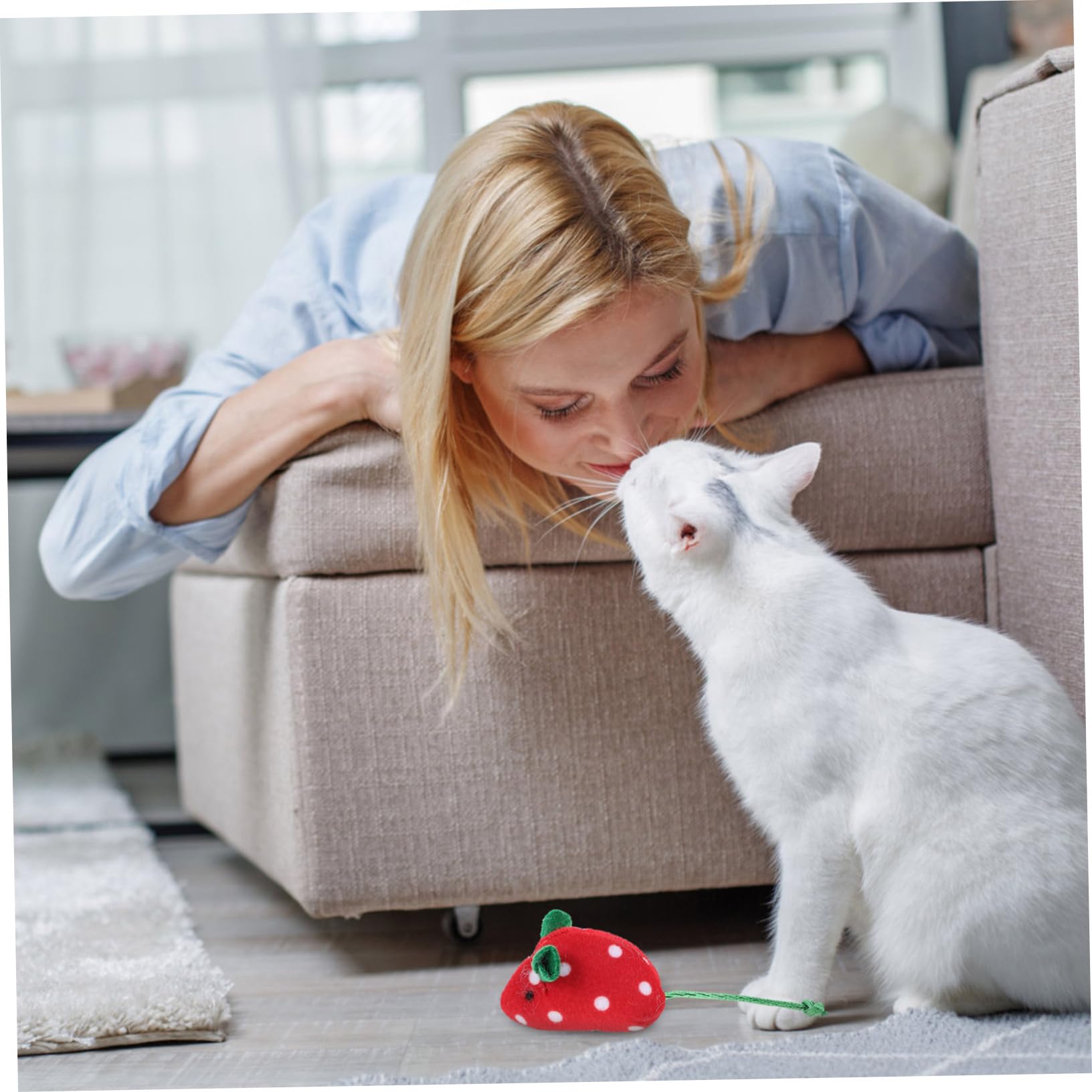 Snapklik.com : 5pcs Cat Toys Indoor Cats Plush Fruit Mice Interactive ...