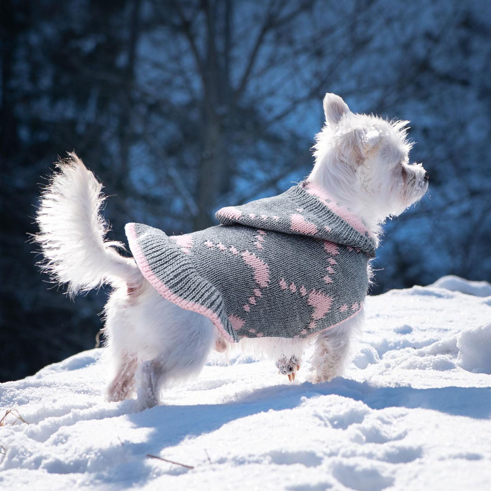 PAWCHIE Weihnachtlicher Hundepullover Mit Rollkragen & Leinenloch – Warm, Gestrickt, Für Kleine Bis Große Hunde, Elch-Motiv