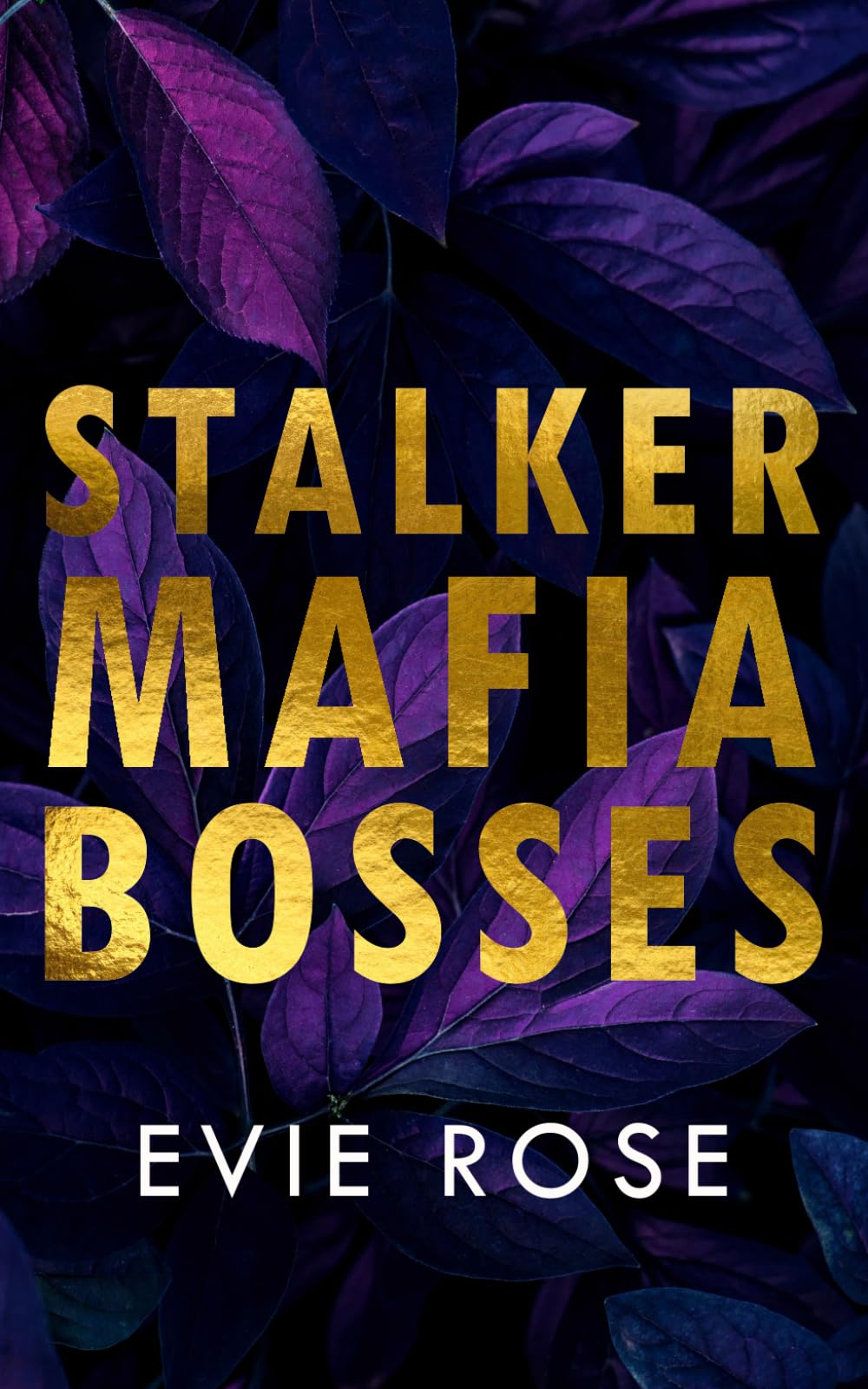 Stalker Mafia Bosses: an age gap mafia stalking spicy romance collection