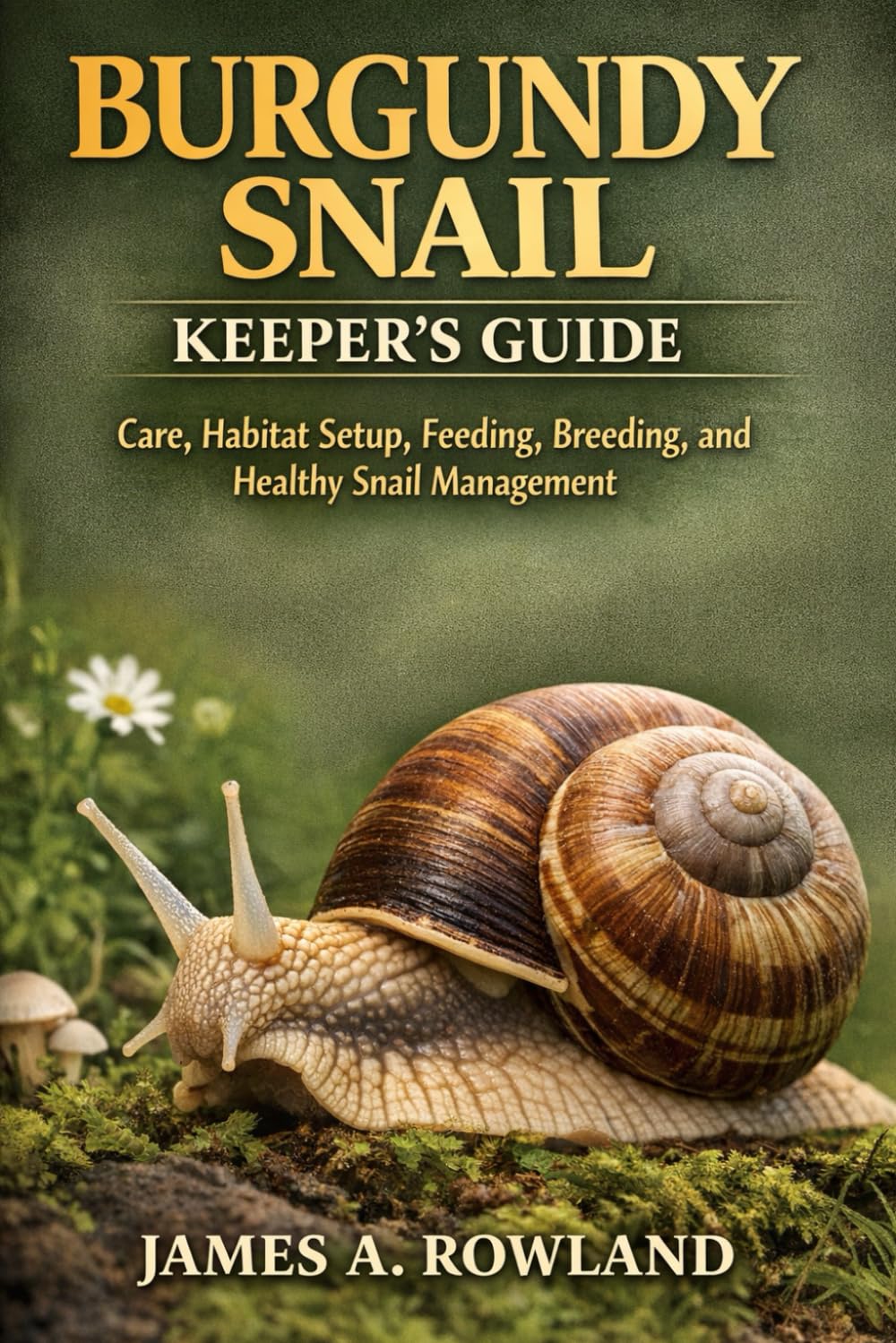 Burgundy Snail Keeper’s Guide: Care, Habitat Setup, Feeding, Breeding, and Healthy Snail Management