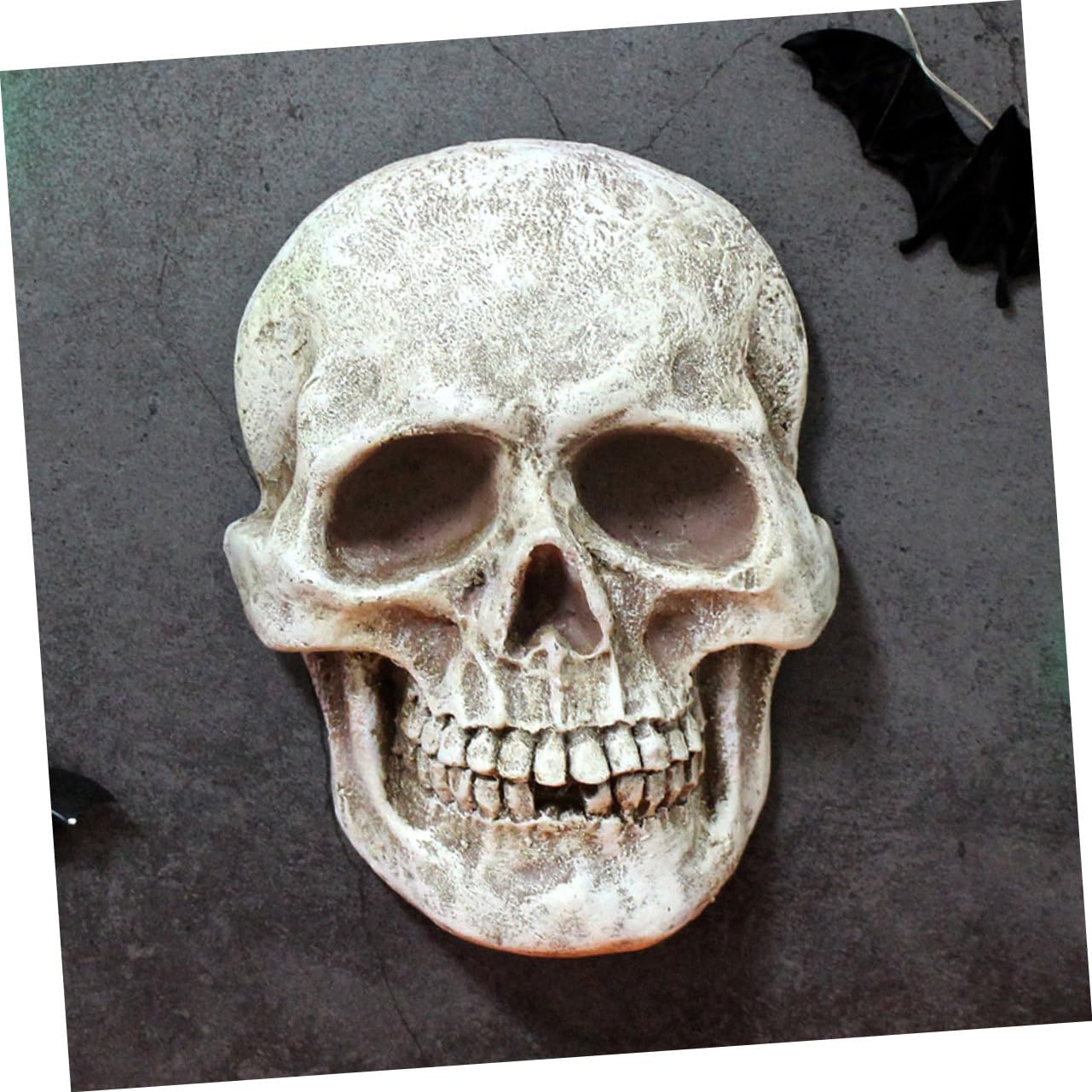 3 Piezas de Calaveras de Esqueleto para Fiestas de Halloween, Accesorios para Casas embrujadas, decoración de Casas embrujadas, Modelo de Esqueleto, Adornos de Cabezas de Calavera