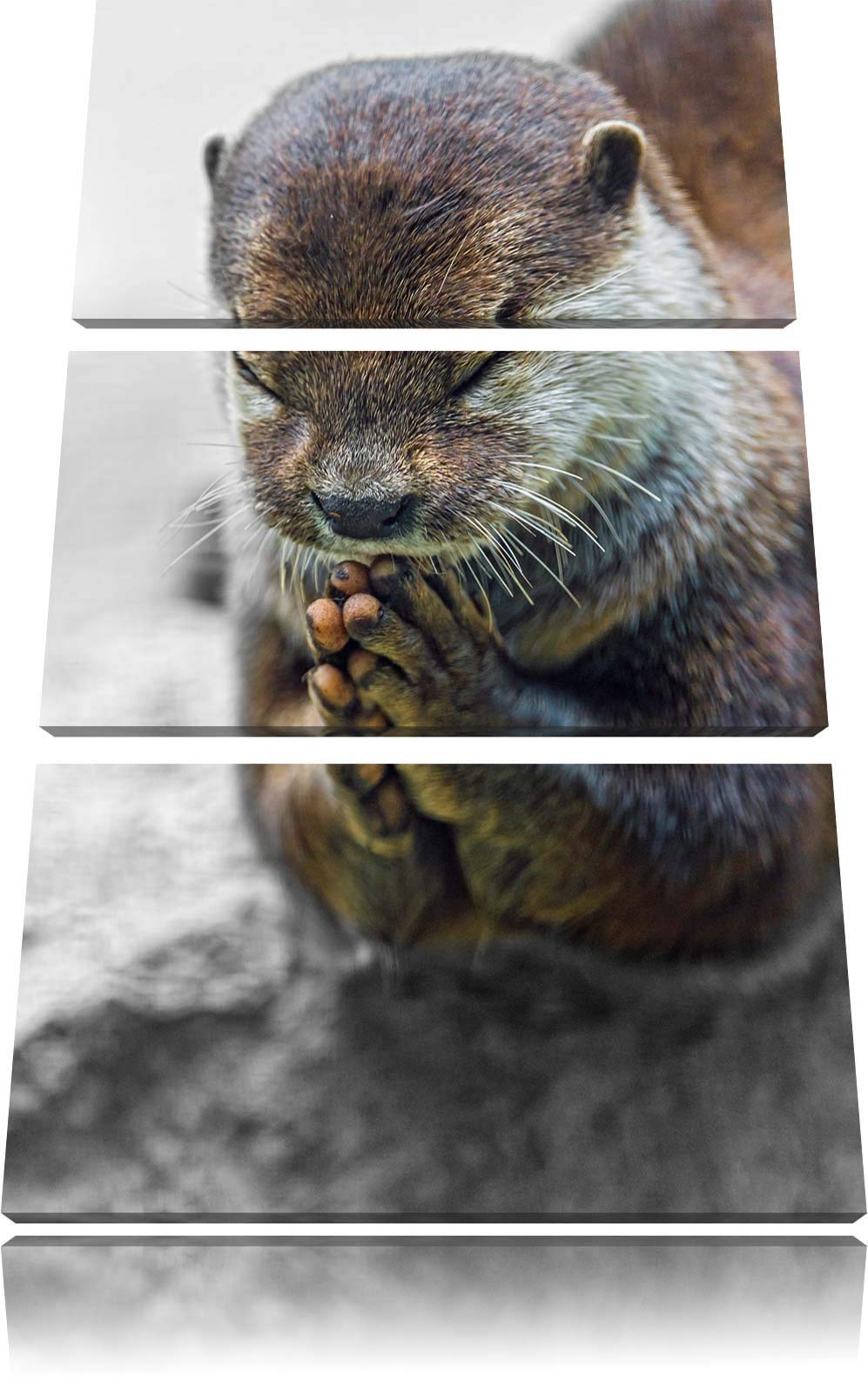 Amazon.co.jp: 新しい優雅な小さな爪カワウソ黒/白の3ピースキャンバス